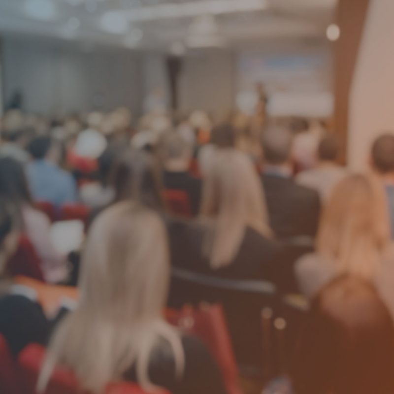 Alpha1-Gruppenleiter bei einem Vortrag