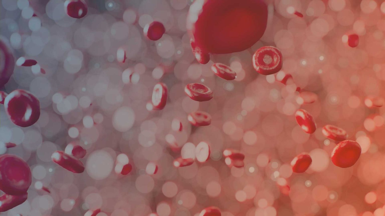 Blutplasma Für Medizin und Alpha1Patienten unverzichtbar