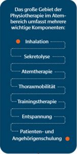 Grafik: Die verschiedenen Gebiete der Physiotherapie