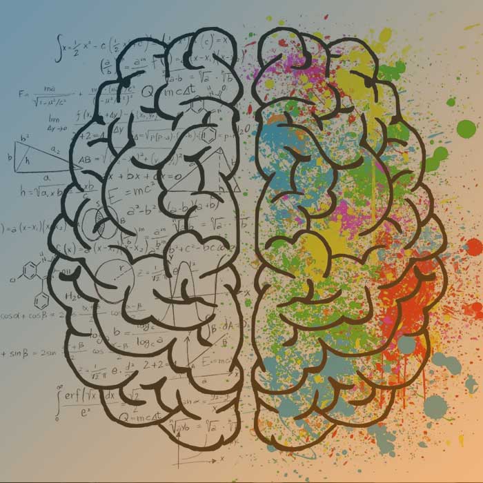 Symbolbild: Ein gezeichnetes Gehirn.