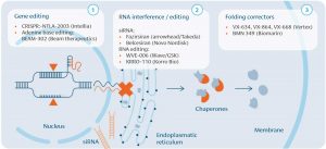 Infografik: Gen-Editierung