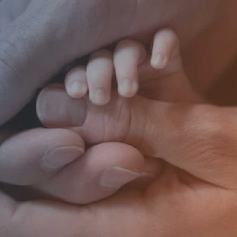Babyhände in den Händen der Eltern.