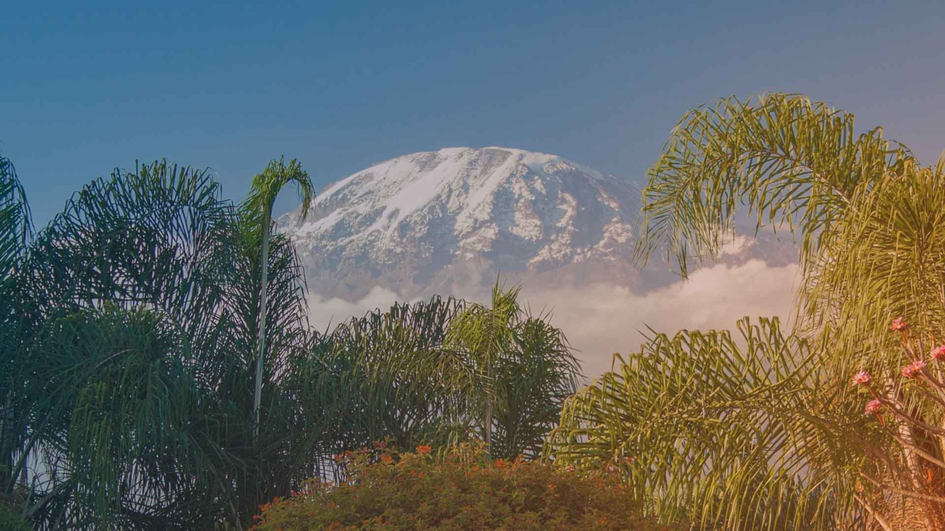 Kilimandscharo – die langsame Anpassung ist das Erfolgsrezept