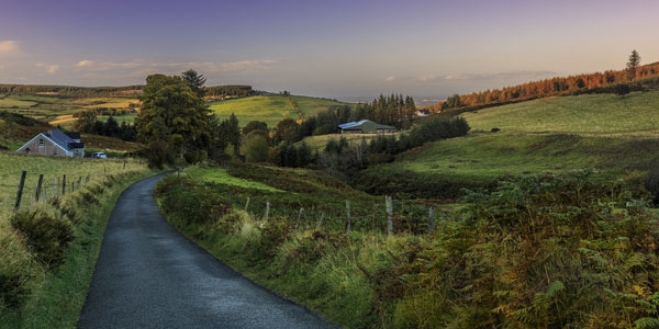 Grüne Landschaft in Irland
