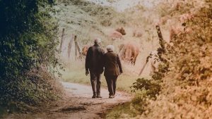 Älteres Pärchen beim gemeinsamen Spaziergang im Wald