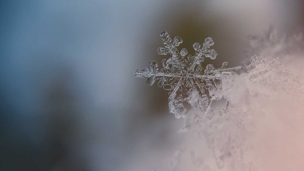 Schneeflocke Nahaufnahme