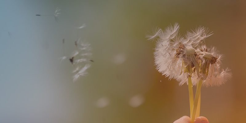 Seit seiner Lungentransplantation kann Uwe Deter endlich wieder richtig durchatmen.